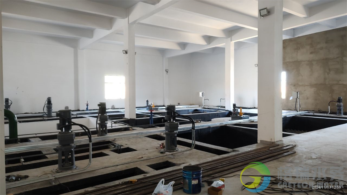 IMG_20241117_125901731